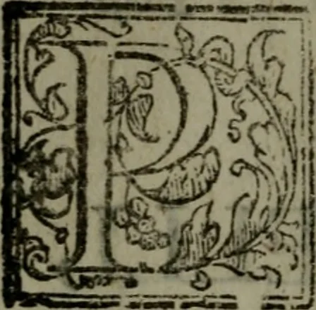 An illustration from Opere ... cioè, Flagello, Fulmine, & Melampigo, contro de' medici putatitii rationali, 1626, leaf 369