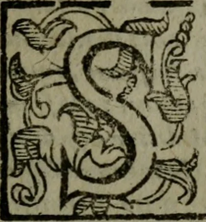 An illustration from Opere ... cioè, Flagello, Fulmine, & Melampigo, contro de' medici putatitii rationali, 1626, leaf 370