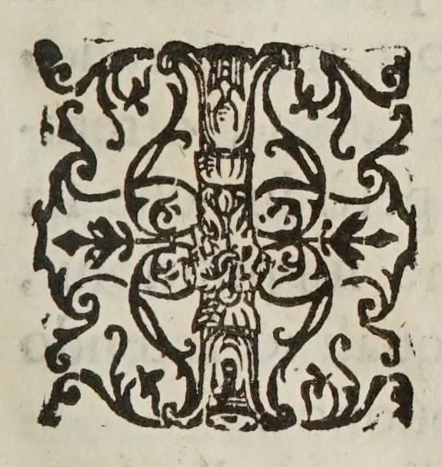 An illustration from Opere del cavaliere Lvca Danesi : cioè, vn discorso sopra l'innondatione, che fà il fivme Tevere nella città di Roma ; vn discorso del cavo Contarino nel ferrarese alla punta d'Ariano ; vn trattato di geometria pratica ; vn trattato di mecaniche cauate dal Galilei, 1670, leaf 49