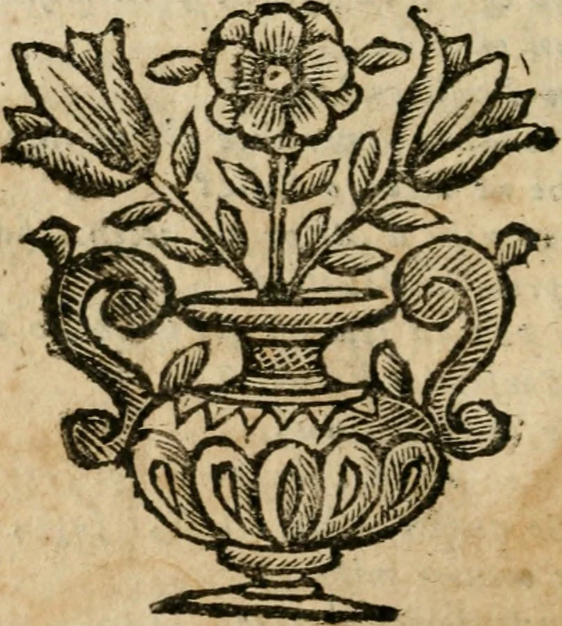 An illustration from Opere del conte Bernardo Morando, nobile genovese, diuise in quattro tomi .., 1662, leaf 239