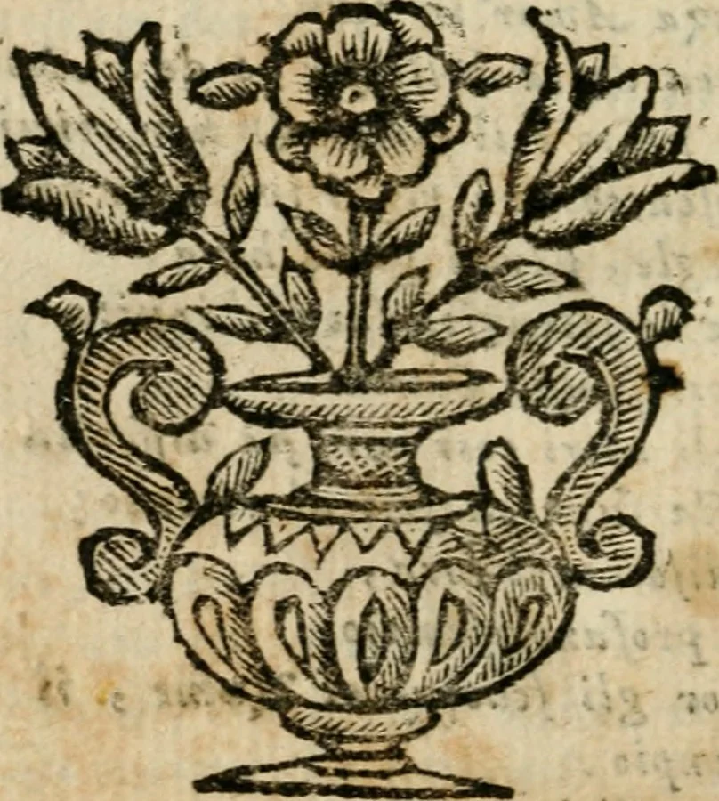 An illustration from Opere del conte Bernardo Morando, nobile genovese, diuise in quattro tomi .., 1662, leaf 253