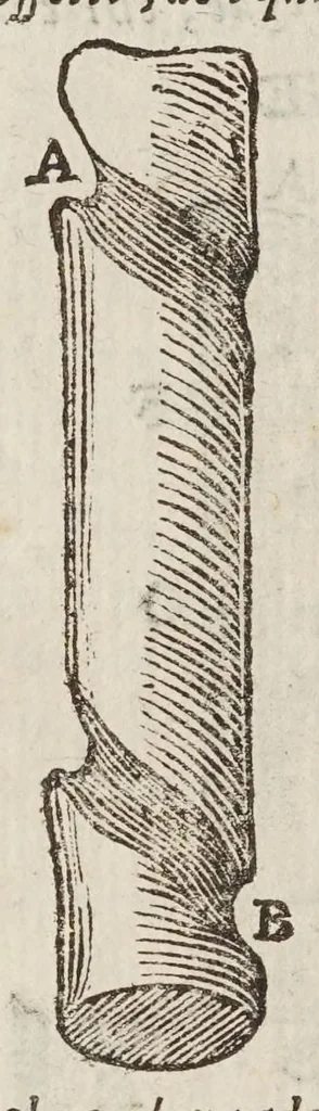 An illustration from Opere di Galileo Galilei ..., 1656, leaf 572