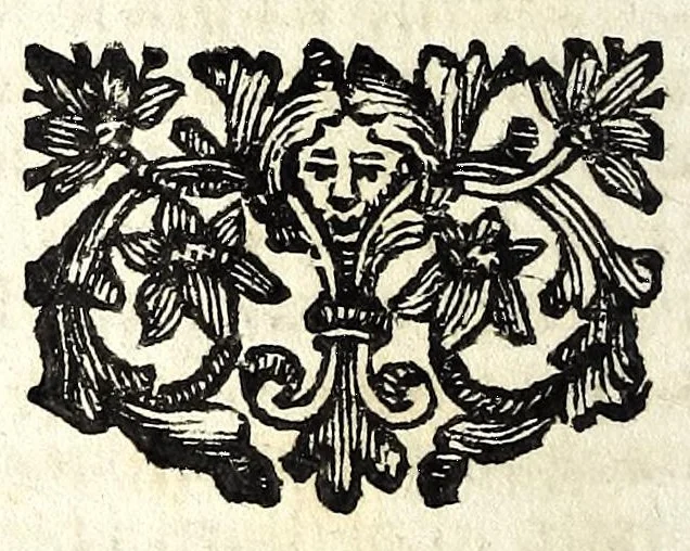 An illustration from Opere di Giulio Cesare Cortese in lingua napoletana : in questa XV. impressione purgate con somma accuratezza da infiniti errori, che le rendevano manchevoli, e difettose, e ridotte alla vera perfezione dell'autore, 1666, leaf 104