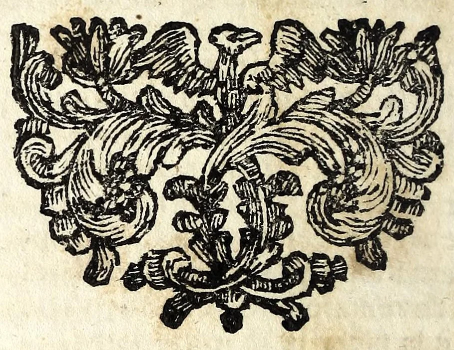 An illustration from Opere di Giulio Cesare Cortese in lingua napoletana : in questa XV. impressione purgate con somma accuratezza da infiniti errori, che le rendevano manchevoli, e difettose, e ridotte alla vera perfezione dell'autore, 1666, leaf 292