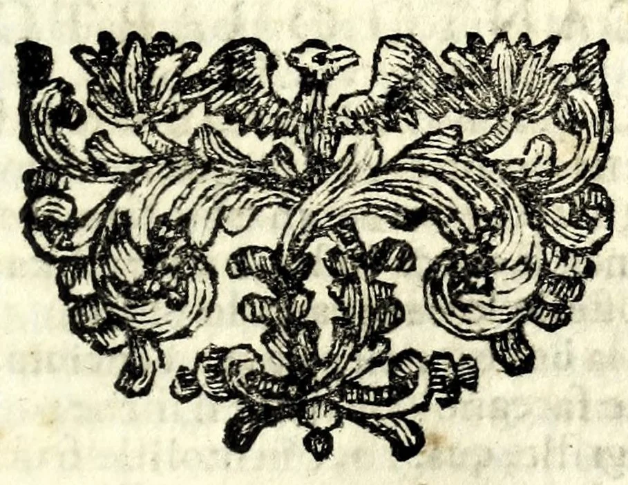An illustration from Opere di Giulio Cesare Cortese in lingua napoletana : in questa XV. impressione purgate con somma accuratezza da infiniti errori, che le rendevano manchevoli, e difettose, e ridotte alla vera perfezione dell'autore, 1666, leaf 49