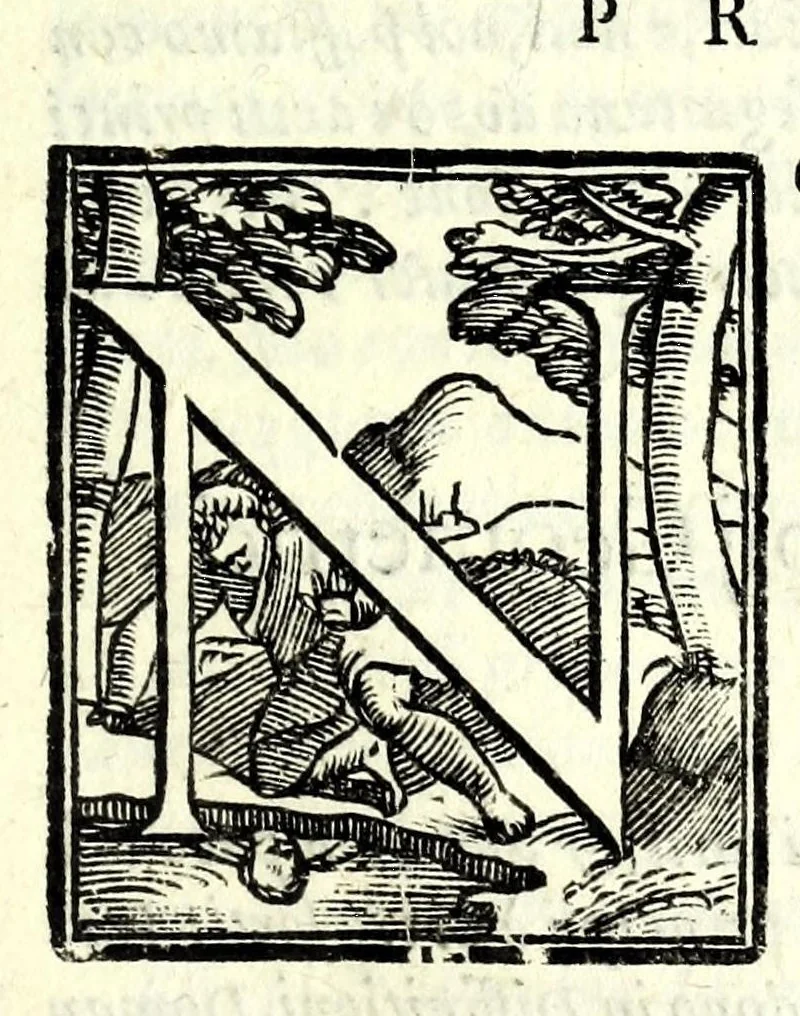 An illustration from Opere di Orontio Fineo del Delfinato : diuise in cinque parti - arimetica, geometria, cosmografia, & oriuoli, 1587, leaf 185