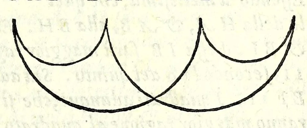 An illustration from Opere di Orontio Fineo del Delfinato : diuise in cinque parti - arimetica, geometria, cosmografia, & oriuoli, 1587, leaf 313