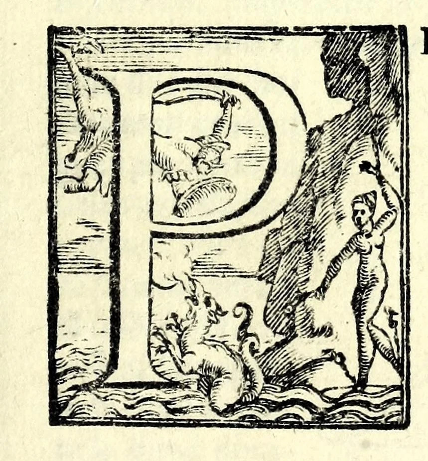 An illustration from Opere di Orontio Fineo del Delfinato : diuise in cinque parti - arimetica, geometria, cosmografia, & oriuoli, 1587, leaf 783