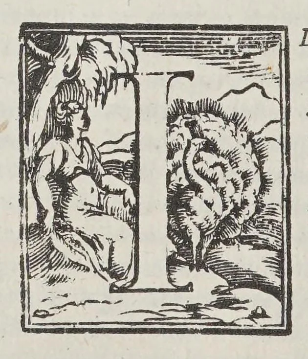 An illustration from Opere di Orontio Fineo del delfinato : diuise in cinque parti; arimetica, geometria, cosmografia, e oriuoli,, 1587, leaf 148