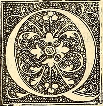An illustration from Operum D. Basilij Magni Caesariae Cappadociae quondam archiepiscopi prior tomus : cuius par multò melior nunc demum solerti industria nec minùs accurata collatione ad fidem Graecorum aliquot archetypon partim restituta est synceriori quàm hactenus lectioni, 1547, leaf 585