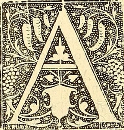 An illustration from Operum D. Basilij Magni Caesariae Cappadociae quondam archiepiscopi prior tomus : cuius par multò melior nunc demum solerti industria nec minùs accurata collatione ad fidem Graecorum aliquot archetypon partim restituta est synceriori quàm hactenus lectioni, 1547, leaf 907
