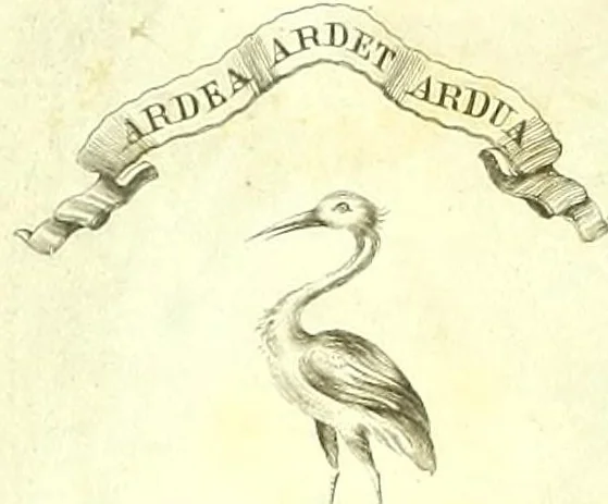 An illustration from Operum pars posterior : Quorum catalogum exhibibunt tibi paginae sequentes ... Huic accesserunt Epistolarum ad familiares libri septem, & Orationes decem ante hoc seorsim editae, 1600, leaf 2