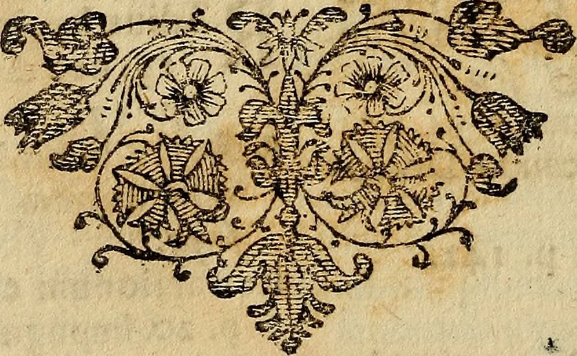 An illustration from Operum philosophicorum, 1681, leaf 209