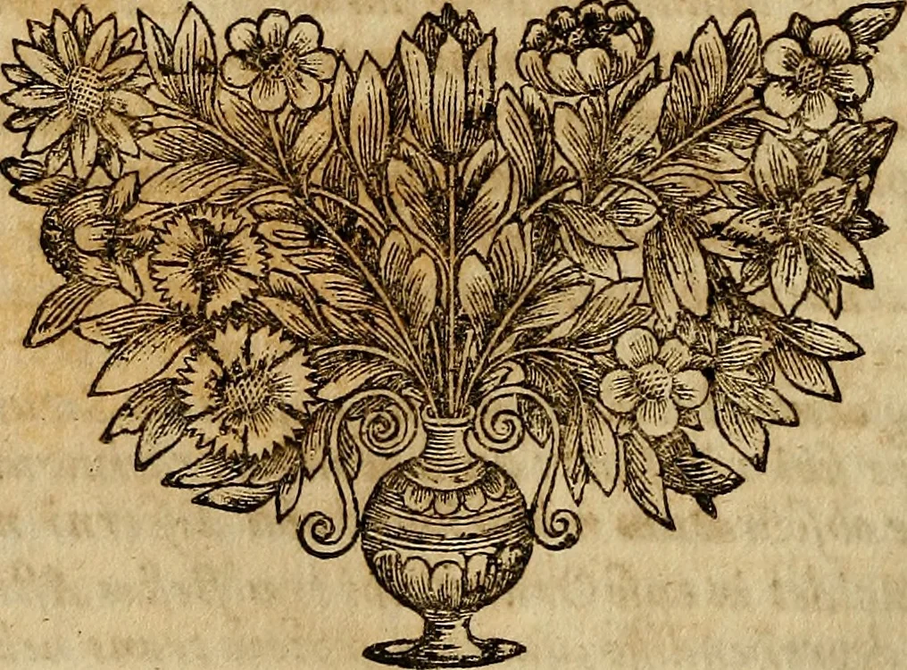 An illustration from Operum philosophicorum, 1681, leaf 219