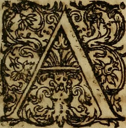 An illustration from Operum philosophicorum, 1681, leaf 220
