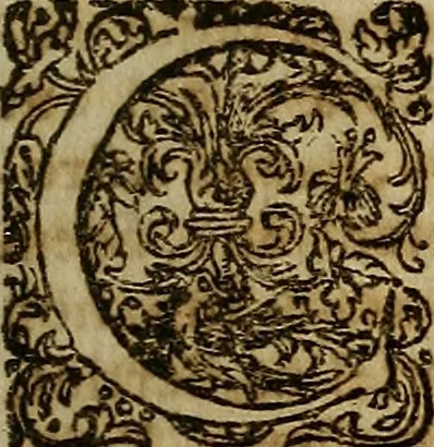 An illustration from Operum philosophicorum, 1681, leaf 240