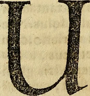 An illustration from Operum philosophicorum, 1681, leaf 251