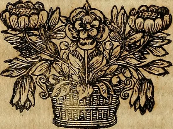 An illustration from Operum philosophicorum, 1681, leaf 289