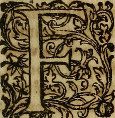 An illustration from Operum philosophicorum, 1681, leaf 290