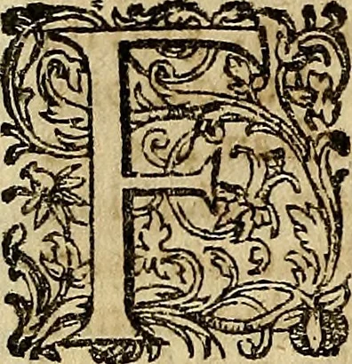 An illustration from Operum philosophicorum, 1681, leaf 313