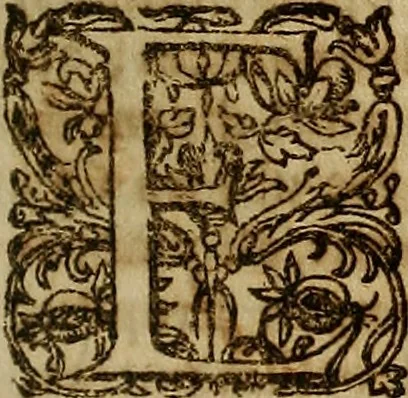 An illustration from Operum philosophicorum, 1681, leaf 334
