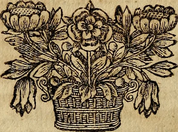 An illustration from Operum philosophicorum, 1681, leaf 339