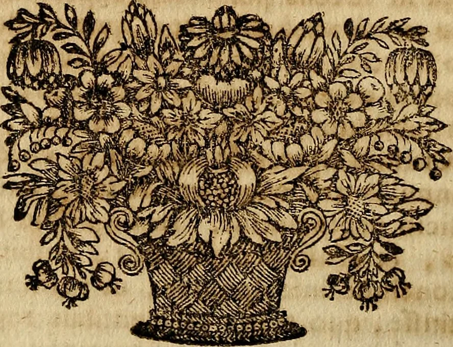 An illustration from Operum philosophicorum, 1681, leaf 461