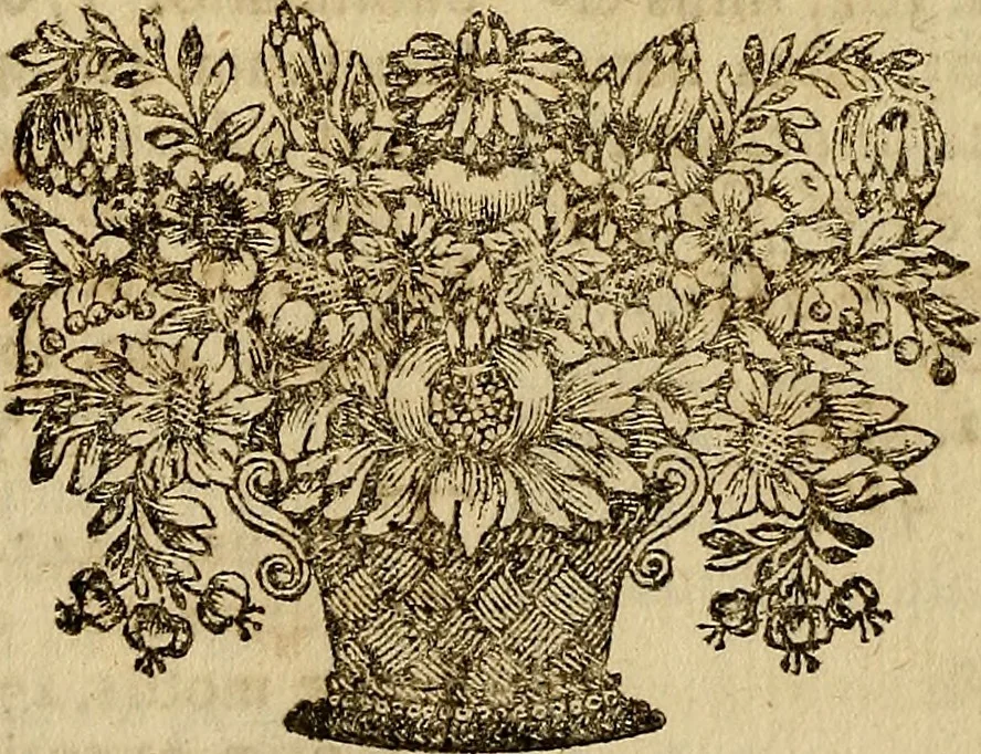 An illustration from Operum philosophicorum, 1681, leaf 549