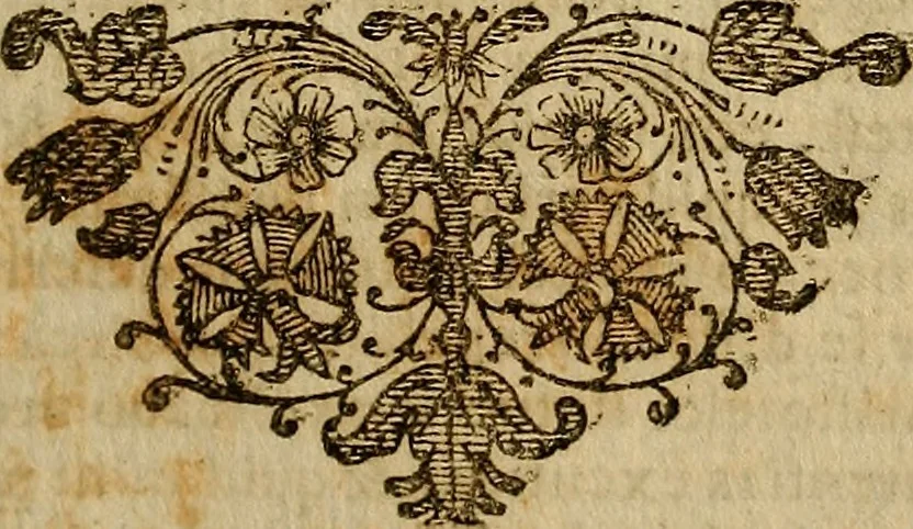 An illustration from Operum philosophicorum, 1681, leaf 616