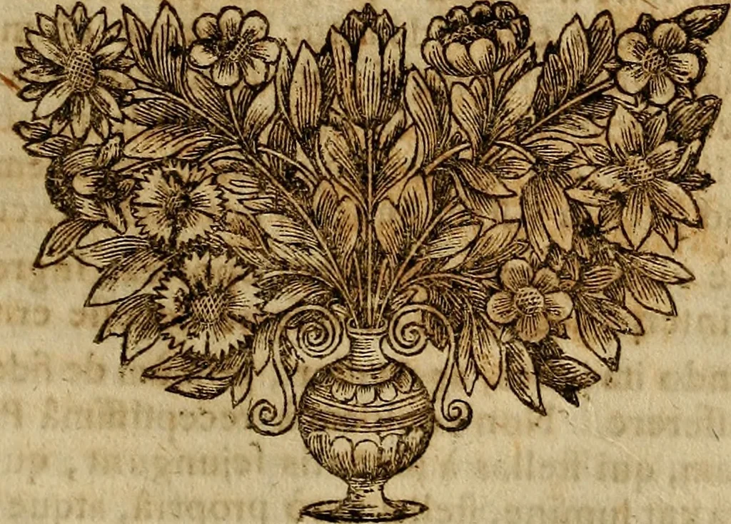 An illustration from Operum philosophicorum, 1681, leaf 62