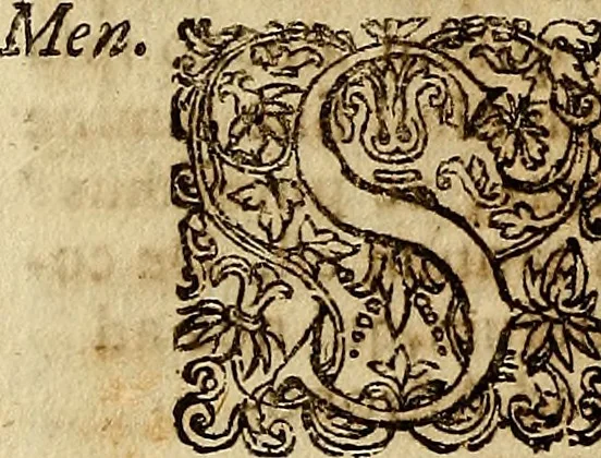 An illustration from Operum philosophicorum, 1681, leaf 63