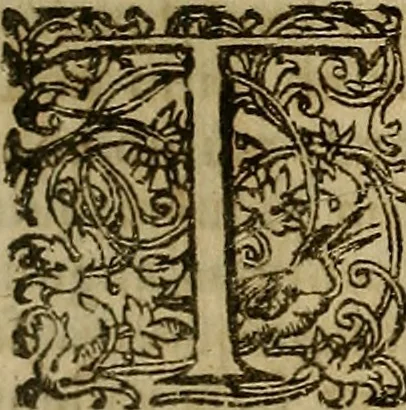 An illustration from Operum philosophicorum, 1681, leaf 694