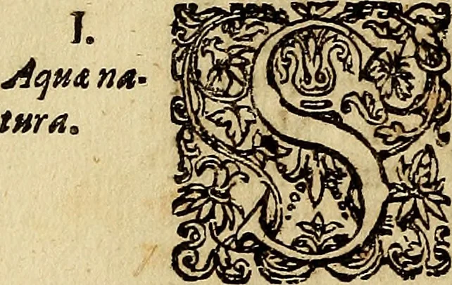 An illustration from Operum philosophicorum, 1681, leaf 749