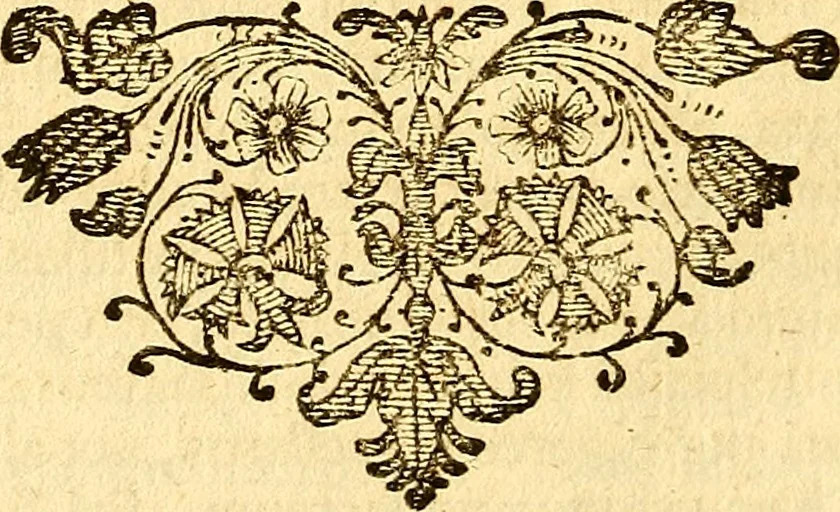 An illustration from Operum philosophicorum, 1681, leaf 121