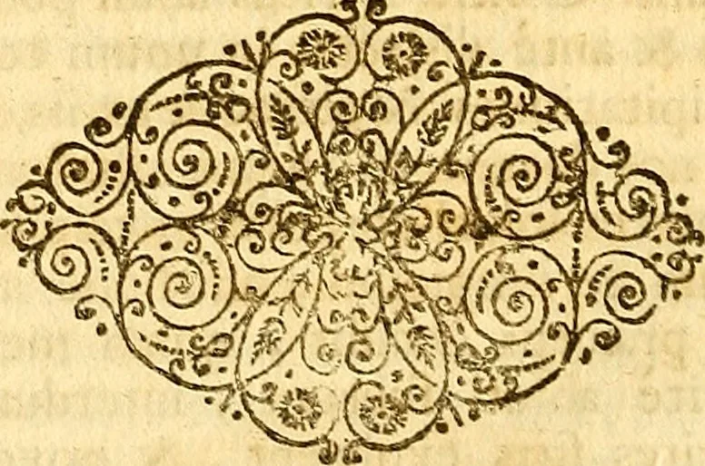 An illustration from Operum philosophicorum, 1681, leaf 133