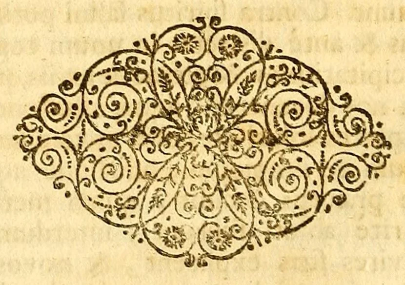 An illustration from Operum philosophicorum, 1681, leaf 134