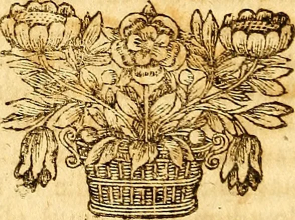 An illustration from Operum philosophicorum, 1681, leaf 187