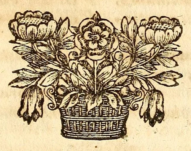 An illustration from Operum philosophicorum, 1681, leaf 243