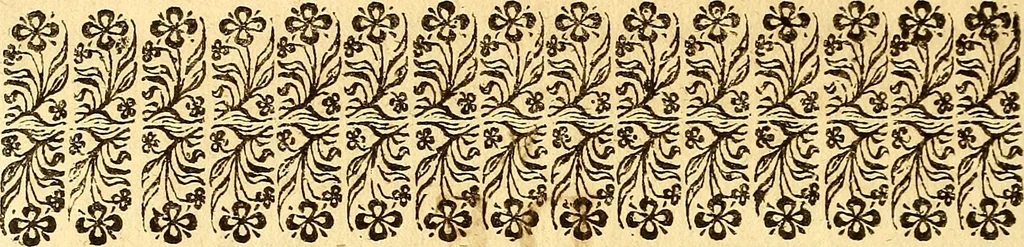 An illustration from Operum philosophicorum, 1681, leaf 251