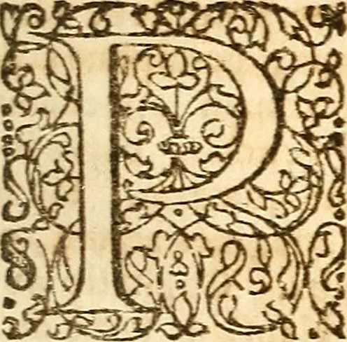 An illustration from Operum philosophicorum, 1681, leaf 256