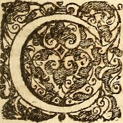 An illustration from Operum philosophicorum, 1681, leaf 260