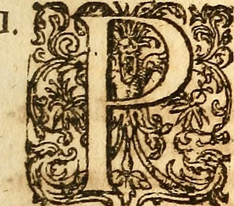 An illustration from Operum philosophicorum, 1681, leaf 312