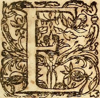 An illustration from Operum philosophicorum, 1681, leaf 316
