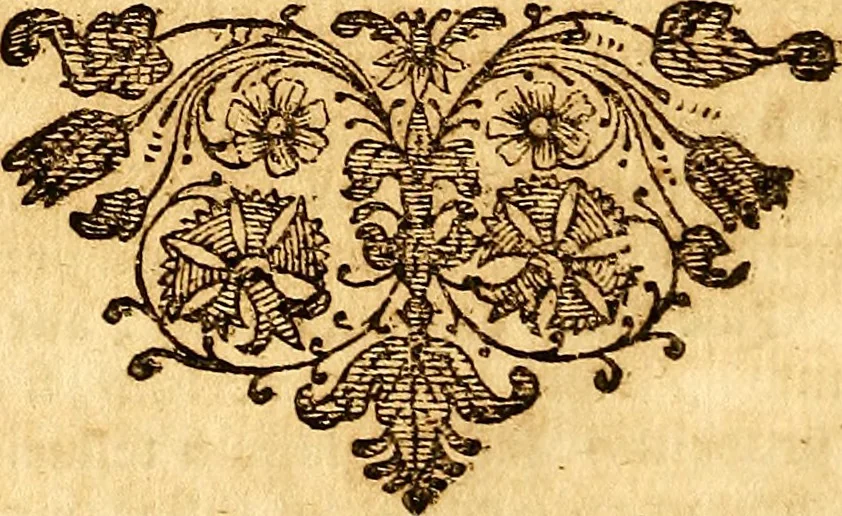 An illustration from Operum philosophicorum, 1681, leaf 351