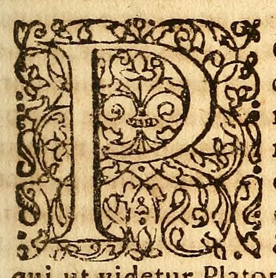 An illustration from Operum philosophicorum, 1681, leaf 353