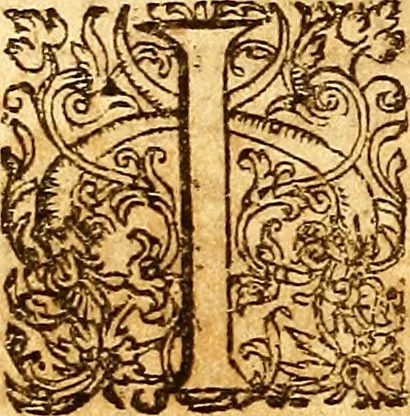 An illustration from Operum philosophicorum, 1681, leaf 361