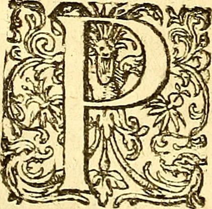 An illustration from Operum philosophicorum, 1681, leaf 409
