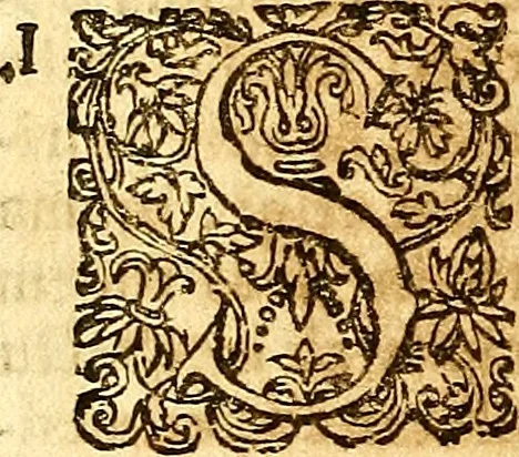 An illustration from Operum philosophicorum, 1681, leaf 427