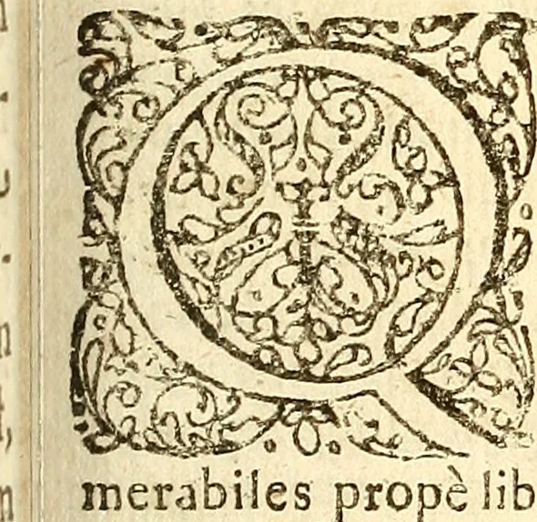 An illustration from Operum philosophicorum, 1681, leaf 484