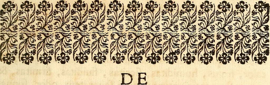 An illustration from Operum philosophicorum, 1681, leaf 6